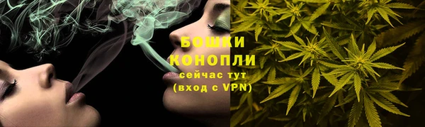 дурь Богданович