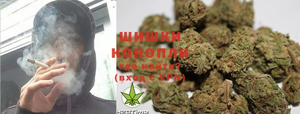 дурь Богданович